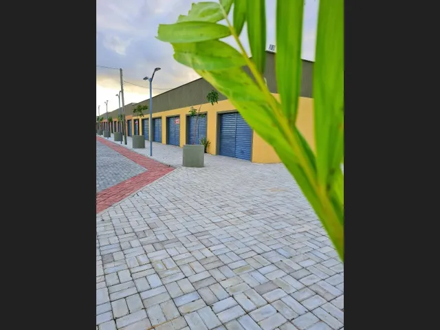 Imagem 2: Salas Comerciais pra Alugar no Bairro Jardins