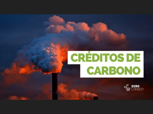 Imagem: Créditos de Carbono Já Certificados e