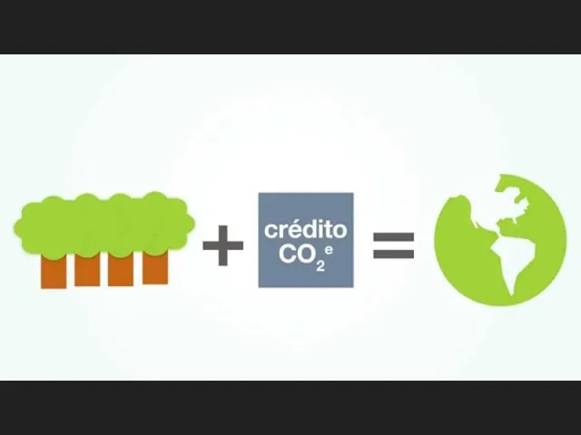 Imagem 2: Créditos de Carbono Já Certificados e Auditáveis pela Vera