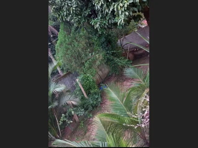 Imagem 16: Iguaçu Velho Mini Sítio Casa Reformada