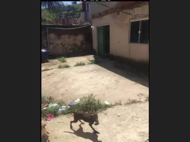 Imagem 7: Ambaí Nova Iguaçu Parque Fluminense Casa 2 Quartos