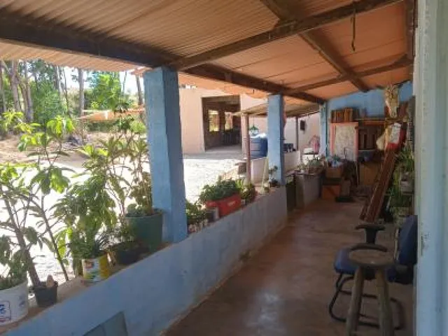 Imagem: Caetanopolis.31 996663416 Lizete Maciel