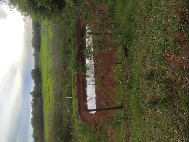 Imagem: Sítio de 3 Há em Carmópolis de Minas