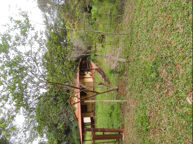 Imagem 2: Sítio de 3 Há em Carmópolis de Minas Mg