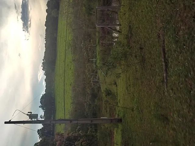 Imagem 16: Sítio de 3 Há em Carmópolis de Minas Mg