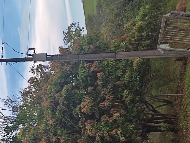 Imagem 4: Sítio de 3 Há em Carmópolis de Minas Mg