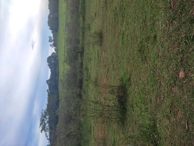 Imagem 7: Sítio de 3 Há em Carmópolis de Minas Mg