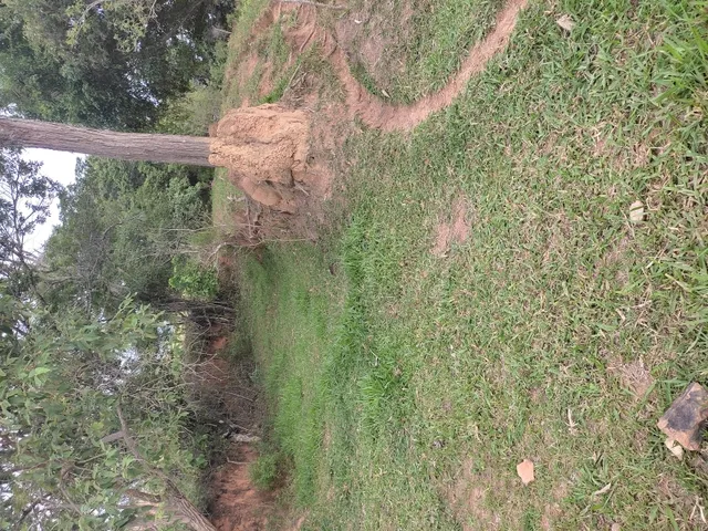 Imagem 3: Sítio de 3 Há em Carmópolis de Minas Mg