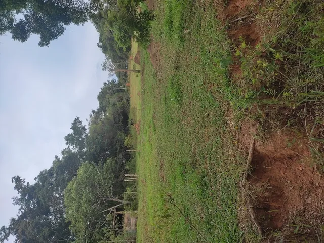 Imagem 14: Sítio de 3 Há em Carmópolis de Minas Mg