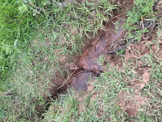Imagem 6: Sítio de 3 Há em Carmópolis de Minas Mg