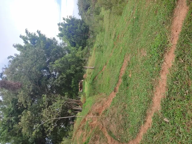 Imagem 9: Sítio de 3 Há em Carmópolis de Minas Mg