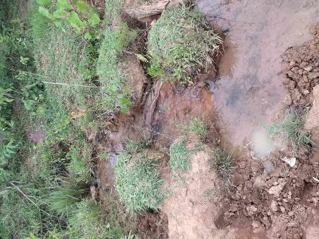 Imagem 13: Sítio de 3 Há em Carmópolis de Minas Mg