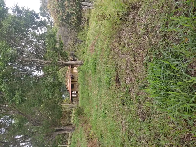 Imagem 10: Sítio de 3 Há em Carmópolis de Minas Mg
