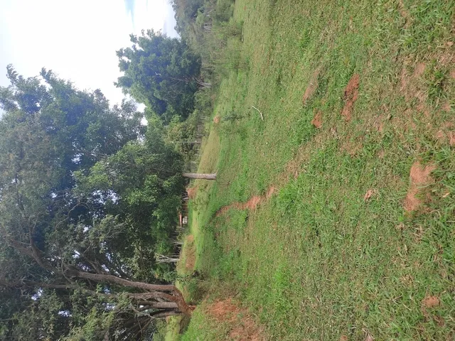 Imagem 5: Sítio de 3 Há em Carmópolis de Minas Mg
