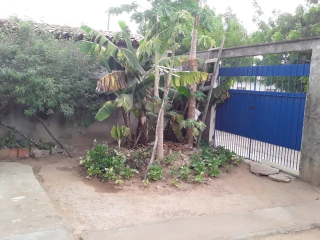 Imagem 3: Casa com Sete Cômodos em Ipupiara-Ba