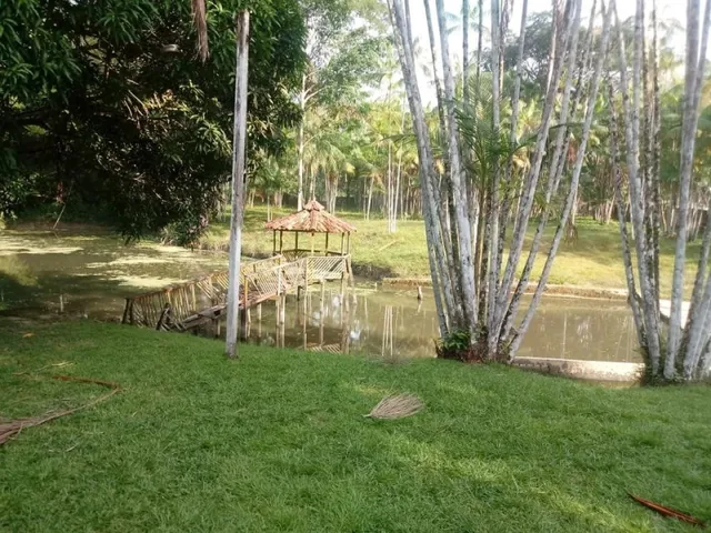 Imagem: Vendo Sitio Br 316 Km 20