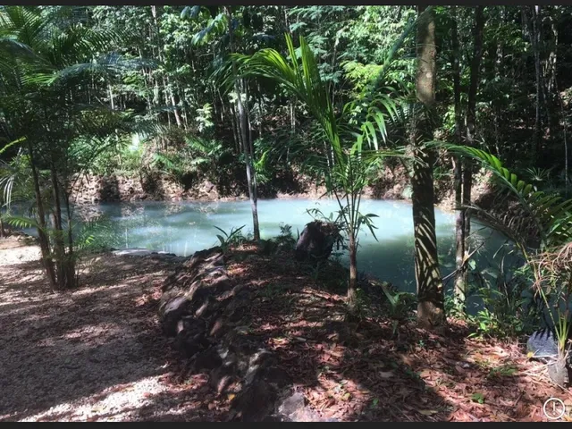 Imagem 2: Vendo Lotes no Condominio Ecologico Amazon Flora - Benevides