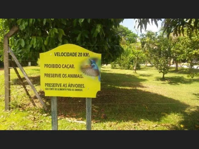 Imagem 3: Vendo Lotes no Condominio Ecologico Amazon Flora - Benevides