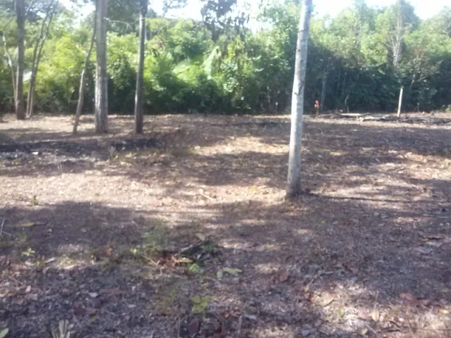 Imagem: Vendo Terreno Praia Ponta de Pedras