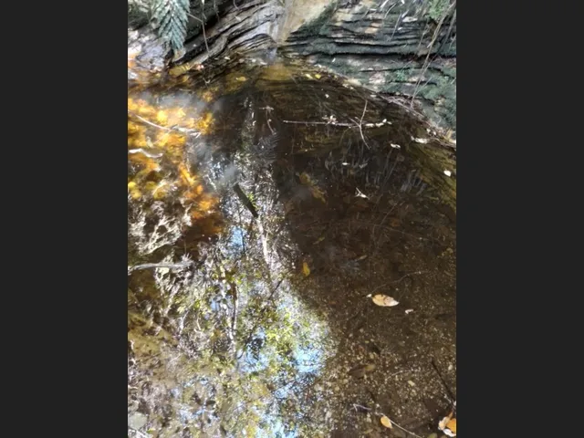 Imagem 2: Três Hectares de Paz e Beleza na Serra do Intendente, com Nascentes