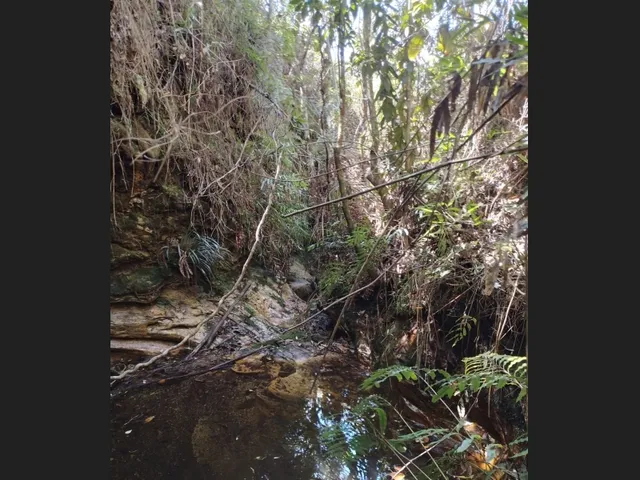 Imagem 5: Três Hectares de Paz e Beleza na Serra do Intendente, com Nascentes
