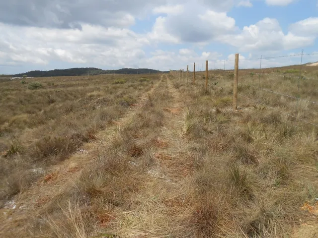 Imagem 7: Três Hectares de Paz e Beleza na Serra do Intendente, com Nascentes