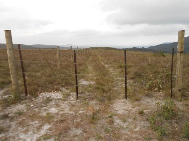 Imagem 3: Três Hectares de Paz e Beleza na Serra do Intendente, com Nascentes