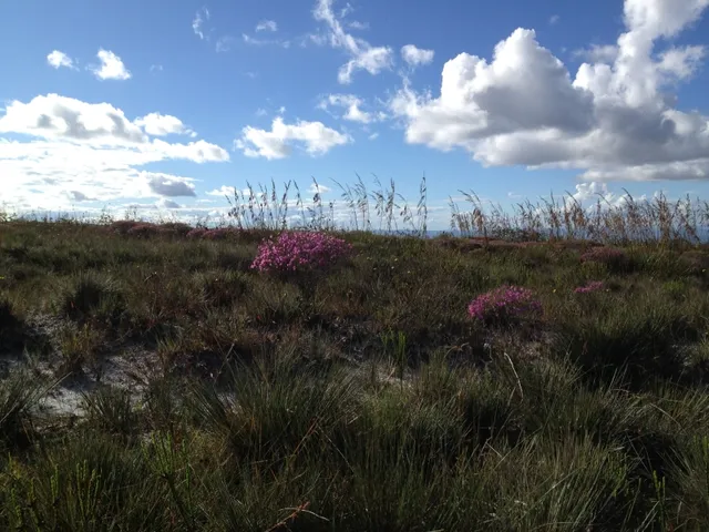 Imagem 11: Três Hectares de Paz e Beleza na Serra do Intendente, com Nascentes