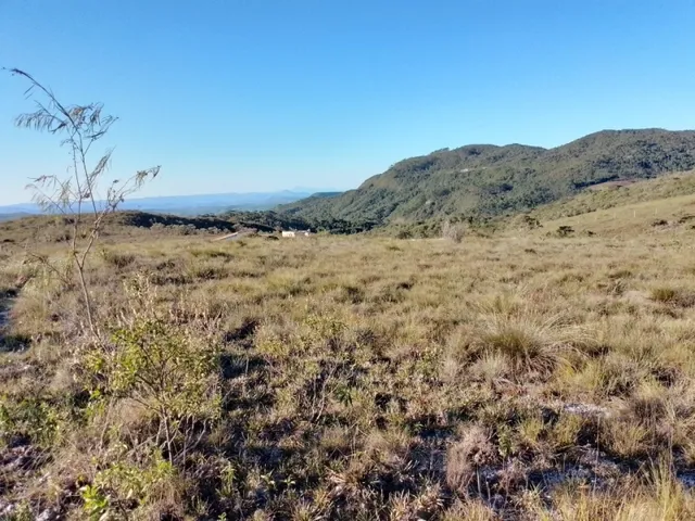 Imagem 13: Três Hectares de Paz e Beleza na Serra do Intendente, com Nascentes