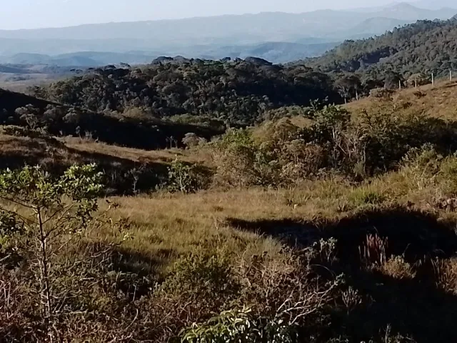 Imagem 4: Três Hectares de Paz e Beleza na Serra do Intendente, com Nascentes
