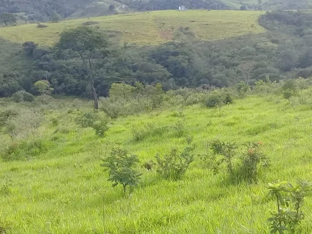 Imagem 15: Fazenda de 130 Há em Congonhas do Norte Mg