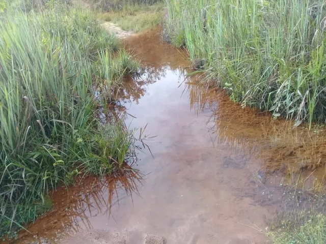 Imagem 6: Fazenda de 130 Há em Congonhas do Norte Mg
