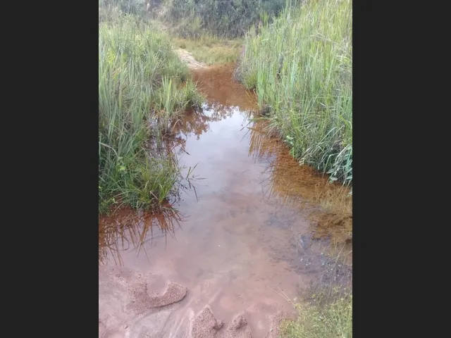 Imagem 5: Fazenda de 130 Há em Congonhas do Norte Mg