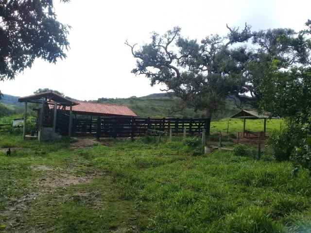Imagem 11: Fazenda de 130 Há em Congonhas do Norte Mg