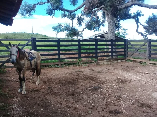 Imagem 9: Fazenda de 130 Há em Congonhas do Norte Mg