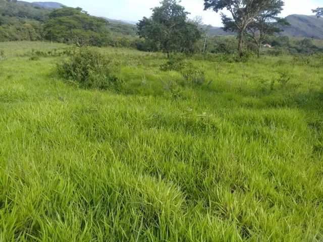 Imagem 2: Fazenda de 130 Há em Congonhas do Norte Mg