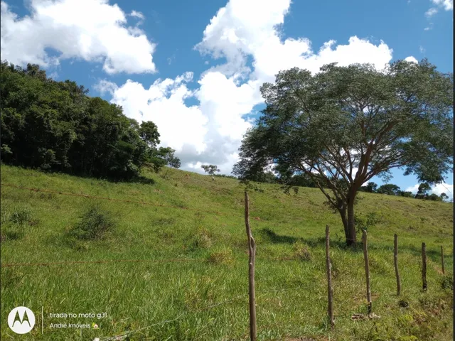 Imagem: Sítio em santa Barbara do Monte Verde Mg