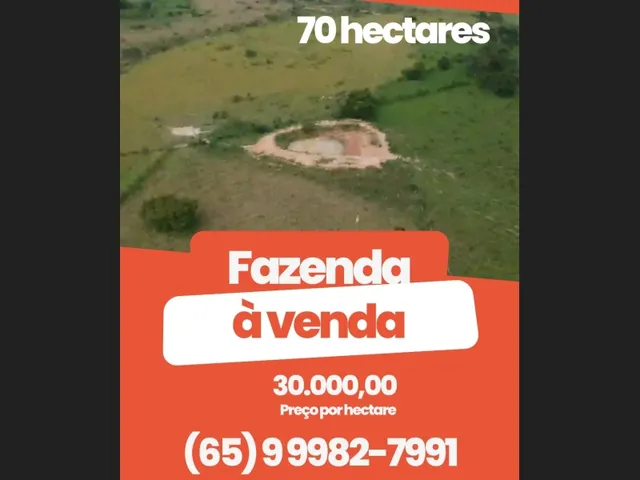 Imagem: A fazenda está localizado em Poconé, MT à venda por