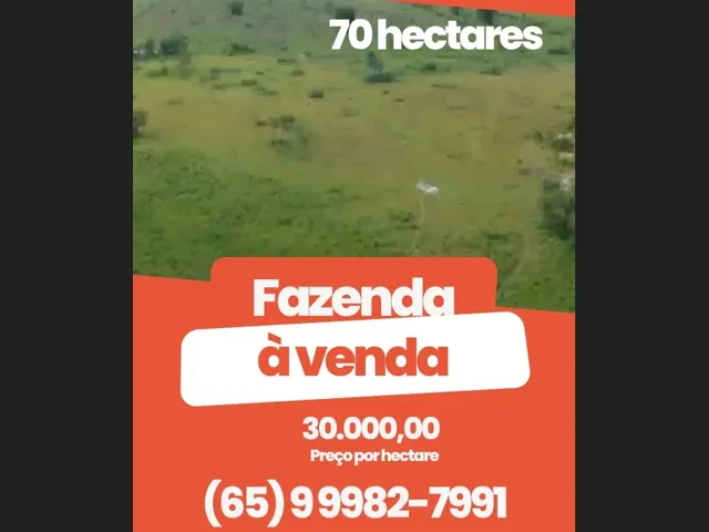 Imagem 2: Fazenda Poconé.