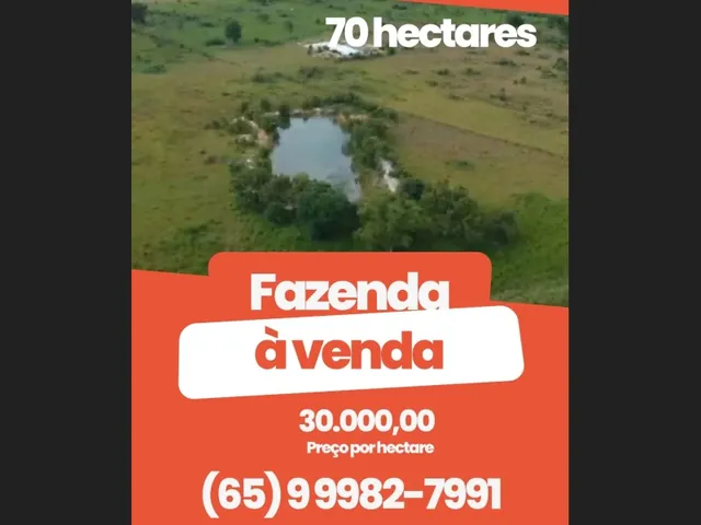 Imagem 3: Fazenda Poconé.