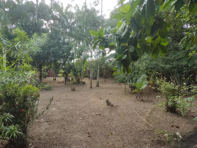 Imagem 3: Aluga-Se Casa no Centro de Ananindeua