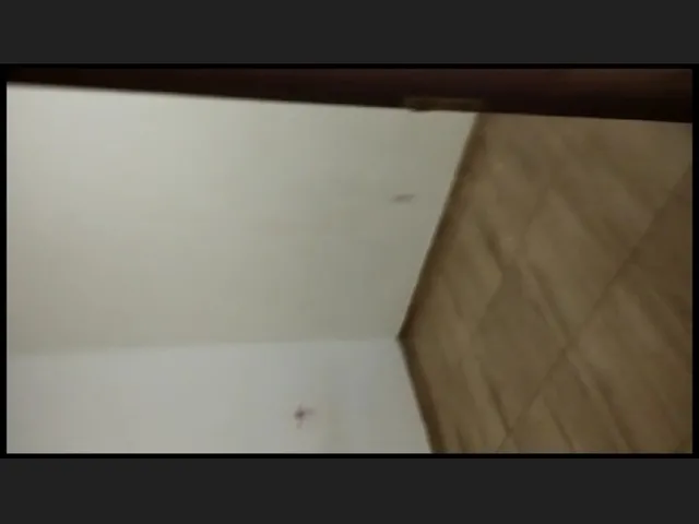 Imagem 8: Procura-Se Estudante para Dividir Casa