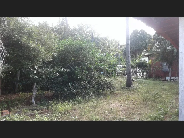 Imagem 6: Aluga-Se Terreno pra Colocar Antena Rural de Celular