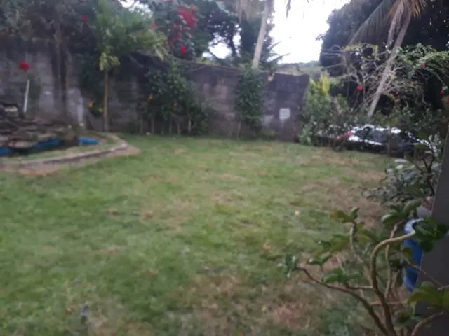 Imagem 15: Excelente Sítio