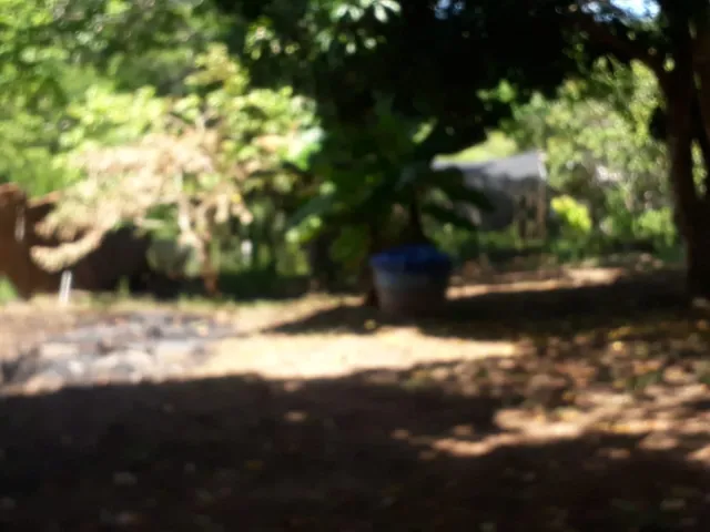 Imagem 2: Excelente Sítio