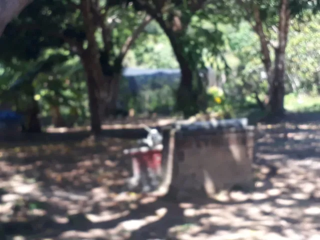 Imagem 4: Excelente Sítio