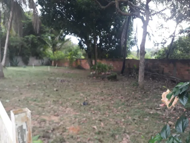 Imagem 6: Excelente Sítio