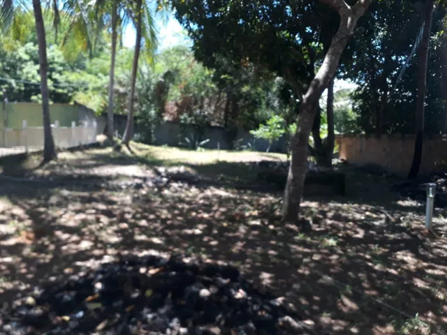 Imagem 16: Excelente Sítio