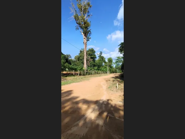 Imagem 8: Lote na Estrada do Caldeirão Próximo Ao Jandira
