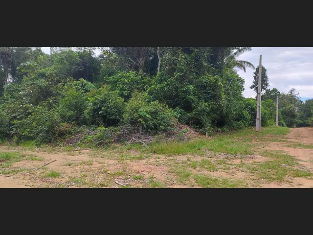 Imagem 7: Lote na Estrada do Caldeirão Próximo Ao Jandira